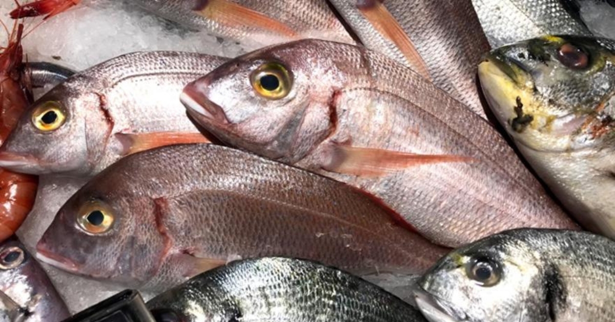 Marisco en la cultura gastronómica